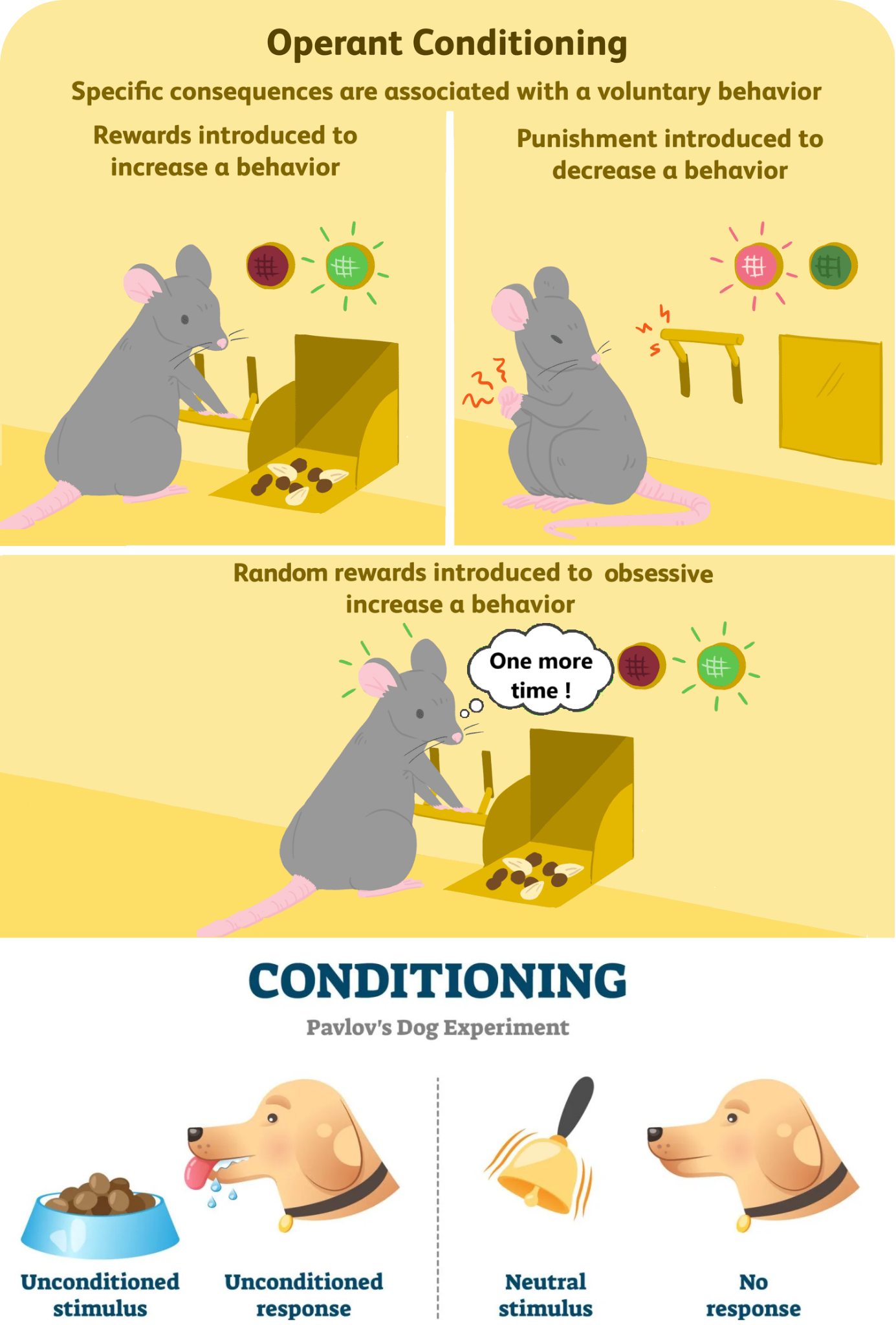 design sans titre (2)